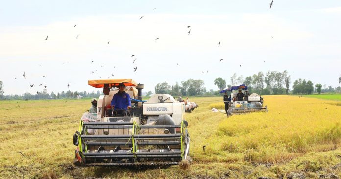 Cần Thơ thông qua chính sách hỗ trợ khôi phục