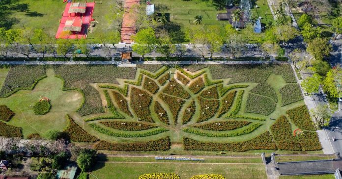 Ngắm đóa sen khổng lồ kết từ 50.000 chậu hoa
