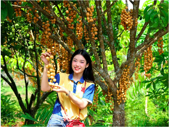 Ảnh chụp Màn hình 2026-05-24 lúc 15.59.23