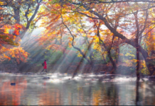 TP.HỒ CHÍ MINH – SEOUL