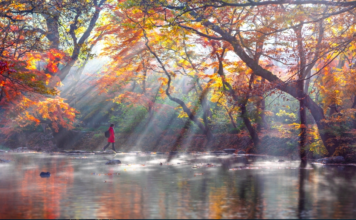 TP.HỒ CHÍ MINH – SEOUL