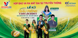 Trước thềm Lễ hội Sầu riêng Đắk Lắk 2026: Trái ngọt đại ngàn mang khát vọng kết nối vươn xa