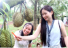 ĐẮK LẮK – KHI MÙI HƯƠNG SẦU RIÊNG DẪN LỐI VỀ ĐẠI NGÀN